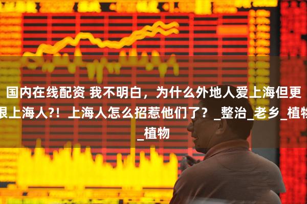 国内在线配资 我不明白，为什么外地人爱上海但更恨上海人?！上海人怎么招惹他们了？_整治_老乡_植物