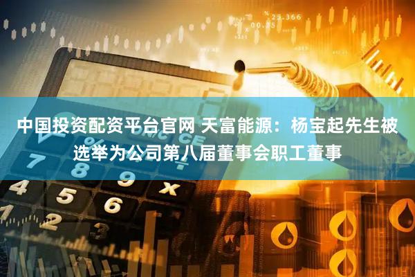 中国投资配资平台官网 天富能源：杨宝起先生被选举为公司第八届董事会职工董事