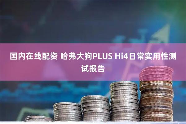 国内在线配资 哈弗大狗PLUS Hi4日常实用性测试报告